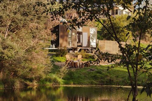 The Whistling Frog by Tiny Away