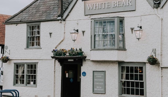 The White Bear