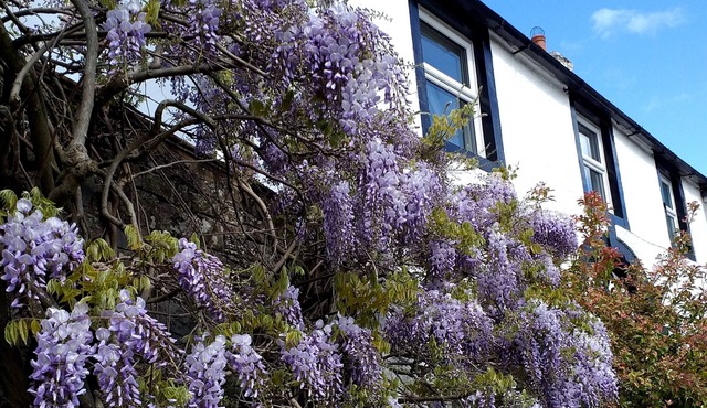 The White House Guest House