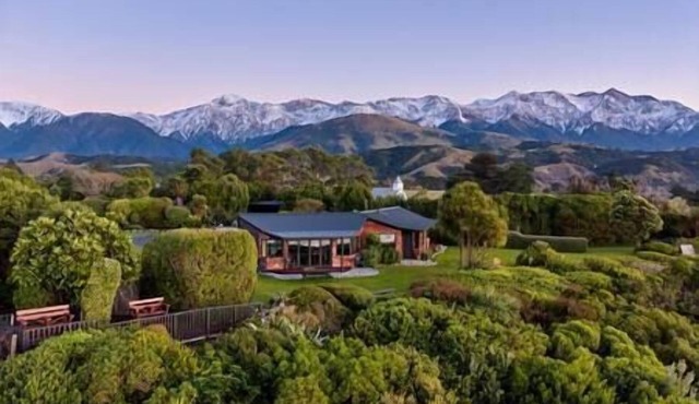 The Whole Front House