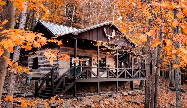 The Wilderness Lodge at Four Fillies Lodge