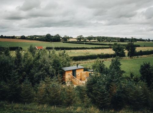 The Wildflower Shepherd's Hut