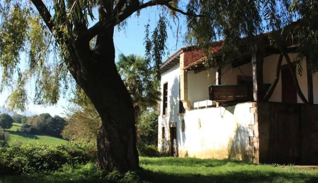 The willow tree house - Hidden in the perfect spot.