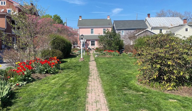 The Willow Wren Cottage Clean, Cozy, Chic, 2 Bed/2 Bath Historic Retreat