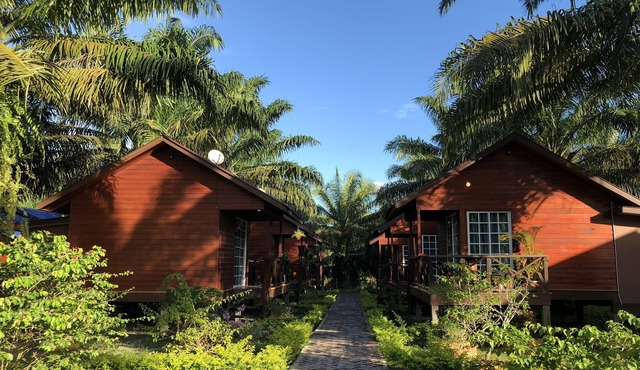 The Wizard of Oz Resort