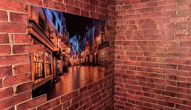 The Wizard's Chamber