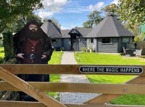 The Wizards Cauldron -Harry Potter Themed