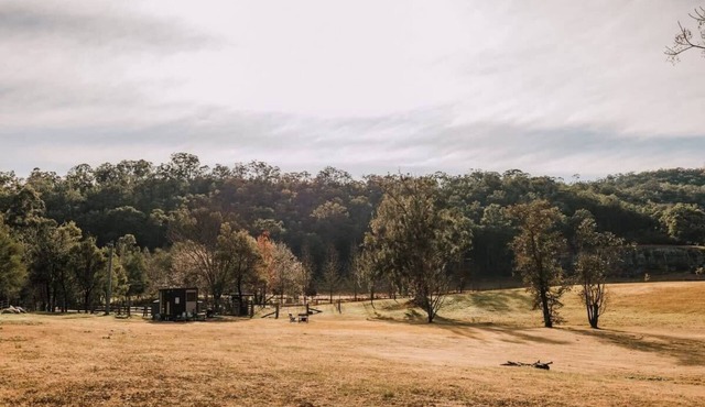 The Wollombi Wanderer by Tiny Away