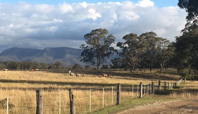 The Woodcutter’s Shed Hunter Valley