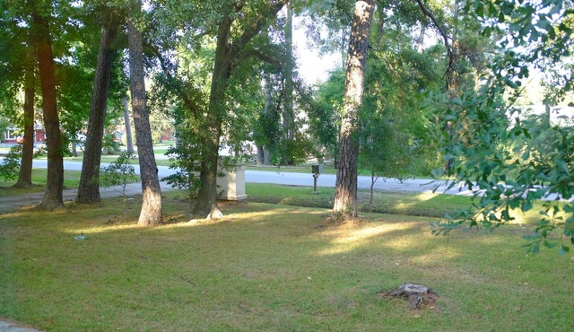 The Woodlands Superb Location, peaceful nature Guest Suite