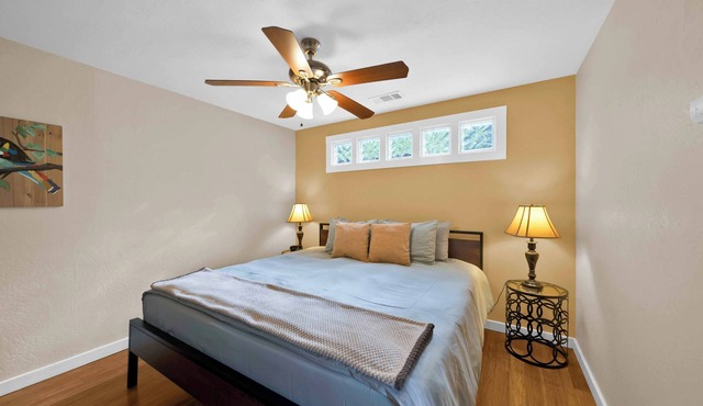 The Woodpecker- A Room With a Forest View