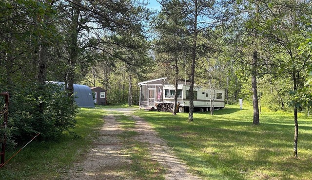 The woods are calling