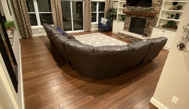 The woods at spring creek