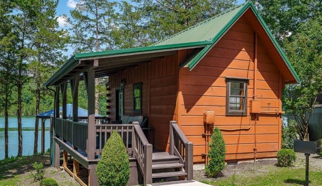 The Wren’s Nest Studio Cabin 11 - Studio style cabin, queen bed and a kitchenette