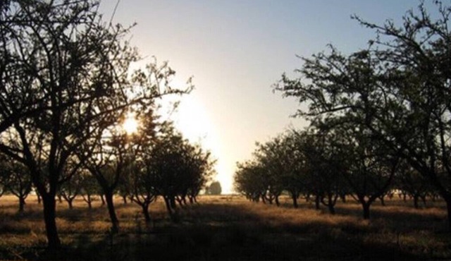 The Yellow Cabin w ensuite/privaten