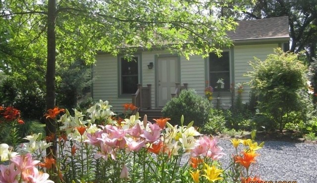 The Yellow Cottage on Harness Creek