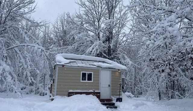 The Yooperlite House - Tremendous 1-bedroom tiny house cabin in cozy L'Anse