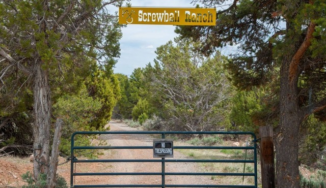The YURT at Screwball Ranch