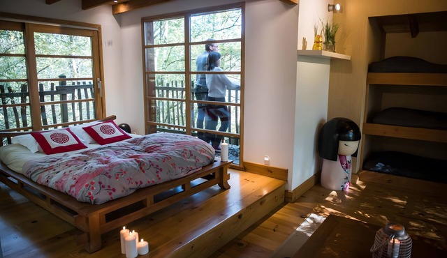 The Zen Cabin – Unique getaway perched 8m in the forest, suspended bridge, terrace and activities