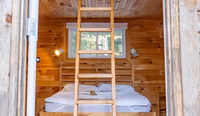 The Zzzz Moose Camping Cabins