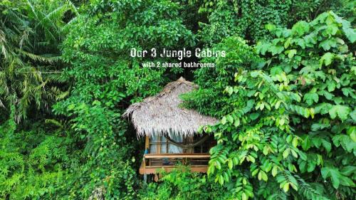 TheJungleGuide - Lodges & Treks