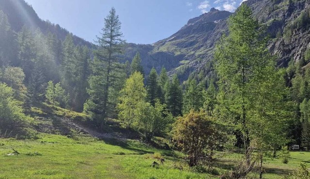 Thelynx.ch : Cosy dome in the alps