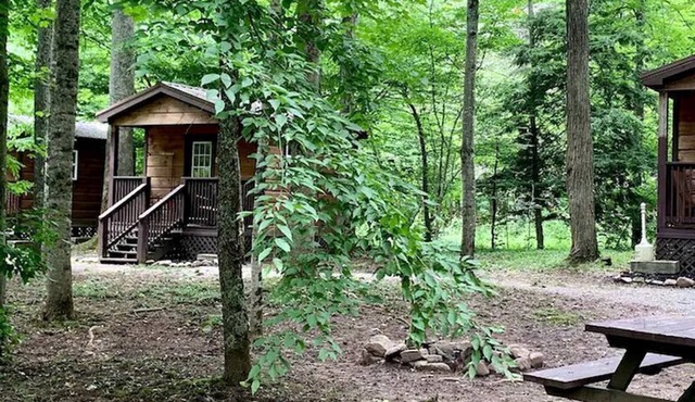 Thematic Western Suite Rental with Back Deck Access in West Virginia