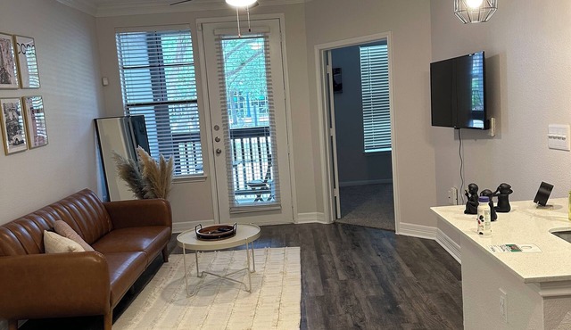 theme Paris Apartmentn/Midtown great Location !/Minutes from NRG Stadium/