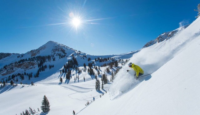There are many fun activities in Ogden, Utah. Come and visit.