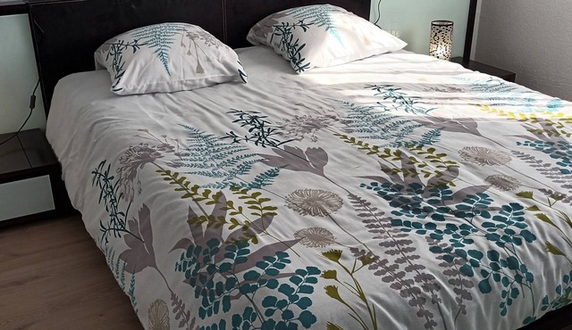 Thermal saint paul les dax