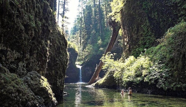 This apartment is a 2 bedroom(s), 1 bathrooms, located in Longview, WA.