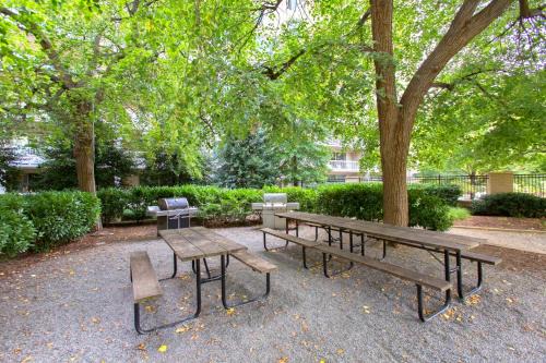 This Apt is Perfect For Business Trips or a Relaxing Vacation