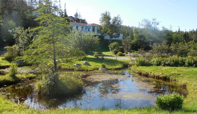 This Cabin Steps from the East Coast trail, fishing ponds and whale Watching!