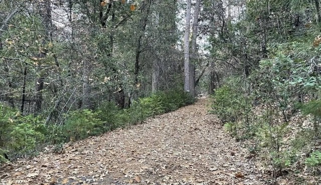 This campsite provides the ultimate outdoor experience!