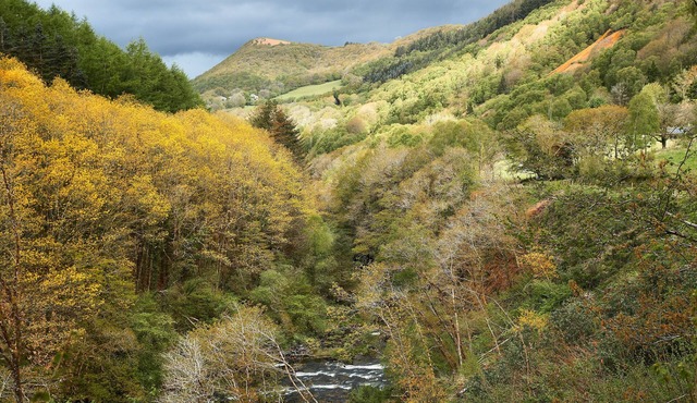 This charming and secluded cottage is the perfect retreat to enjoy nature