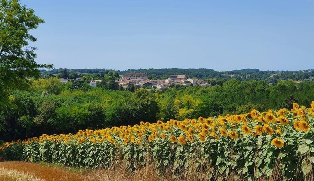 This chic townhouse in centre of thriving Bastide village.