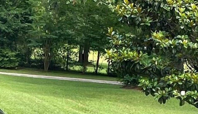 This country house is a 1 bedroom(s), 1 bathrooms, located in tallahassee, FL.