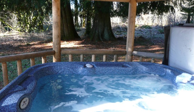 This historic cabin is just a few miles from Mt Rainier National Park. Pet friendly. Fish pond, pastures, old cedars, 11-acres. Private hot tub surrounded by grove of old cedars.