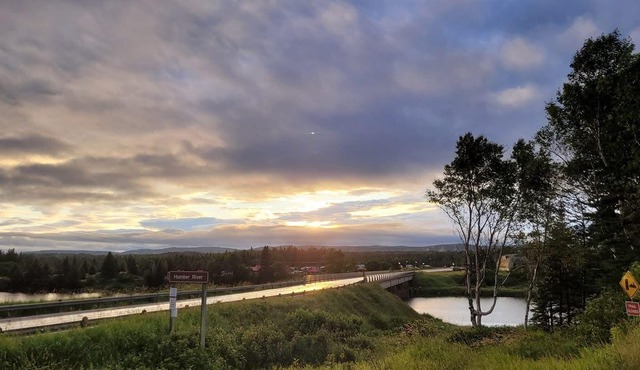 This Lil Apartment - Stay Close to Airport, Beach, and Gros Morne Adventures