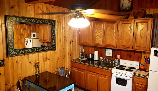 This mountain cabin is perfect for a couple or single person get away.