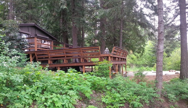 This Pet-Friendly, Cedar Forest Retreat with lake view of Murphy Bay 1000MB WIFI