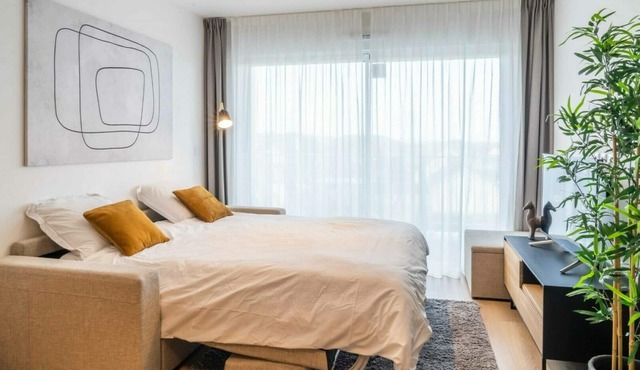 This studio offers a cozy living room with a sofa bed and a sleeping corner with a bunk bed.