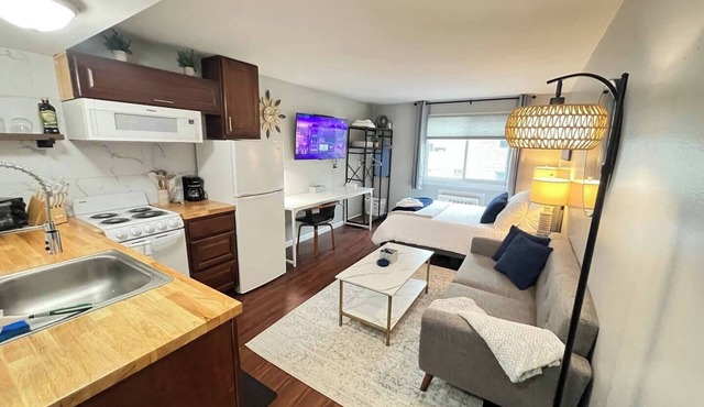 This tastefully appointed and nicely furnished studio is perfect for the traveling professional