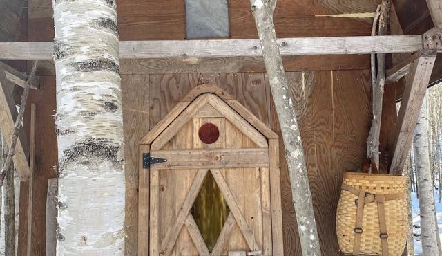 This woods cabin is a true wilderness getaway. Get ready to commune with nature.