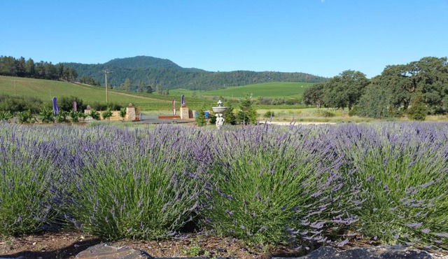 Thorn Hill Vineyards Villa Suites