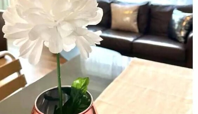 Thorpe Place - Sunderland-Durham-UK- FreeParking