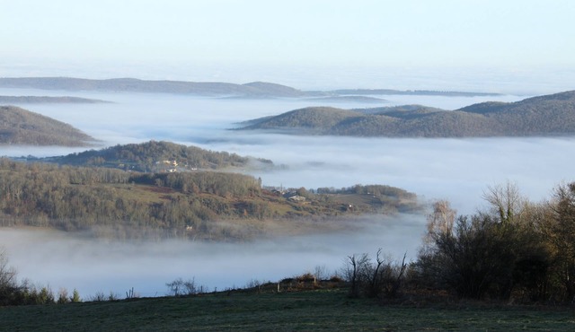 Those who love nature