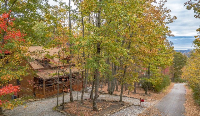 Three Bears Cabin, Private Mountain Getaway, Seasonal Mountain View, Hot Tub