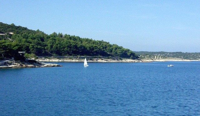 Three bedroom apartment with terrace and sea view Povlja, Brač (A-710-a)