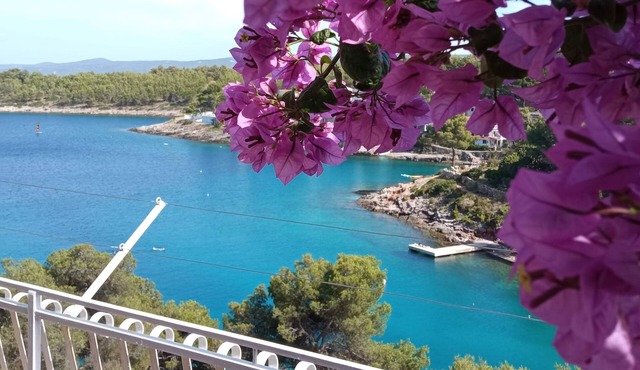 Three bedroom apartment with terrace and sea view Basina, Hvar (A-4620-a)